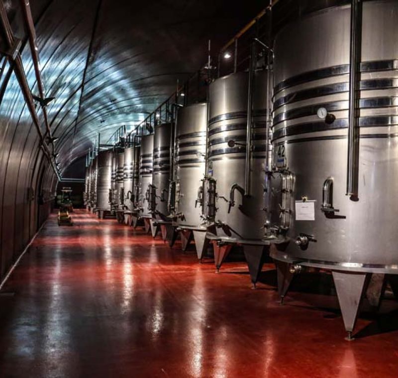 Sala climatizada con depósitos para el vino