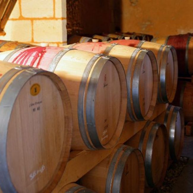 soluciones de climatización para bodegas