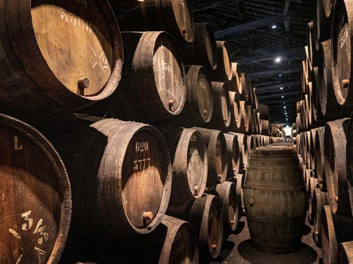 Bodega climatizada con vino aún en barricas