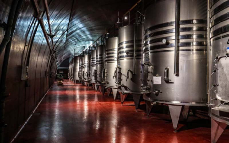 Sala climatizada con depósitos para el vino