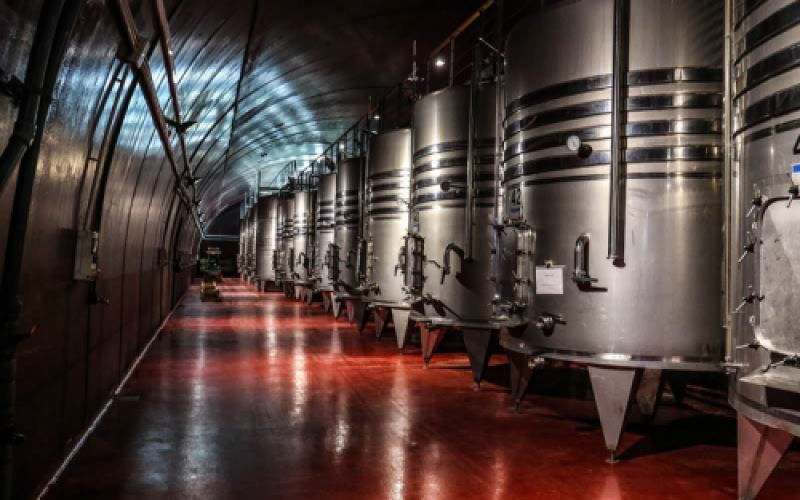 Sala climatizada con depósitos para el vino