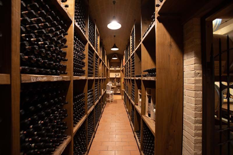 Bodega climatizada con vino embotellado