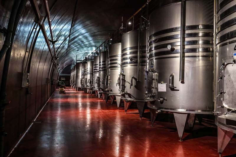 Sala climatizada con depósitos para el vino